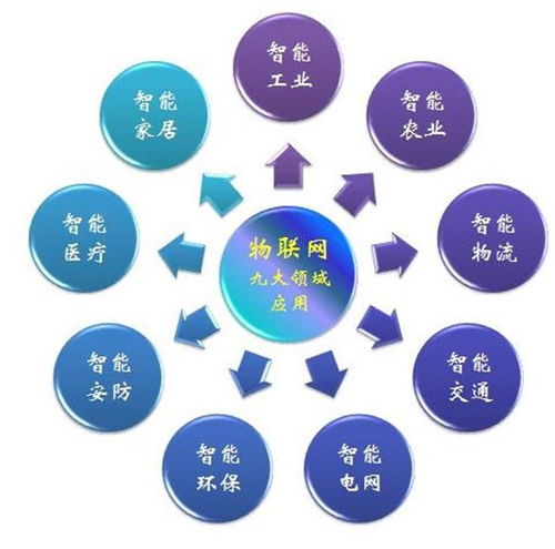萬(wàn)物互聯(lián)的智慧世界 解析物聯(lián)網(wǎng)領(lǐng)域、最新動(dòng)態(tài)及其技術(shù)服務(wù)